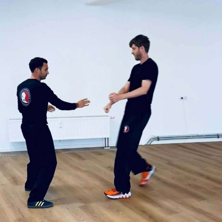 In diesem Bild ist zu sehen, wie der Aggressor durch den Fauststoß des Kung Fu Lehrers zurückgestoßen wird