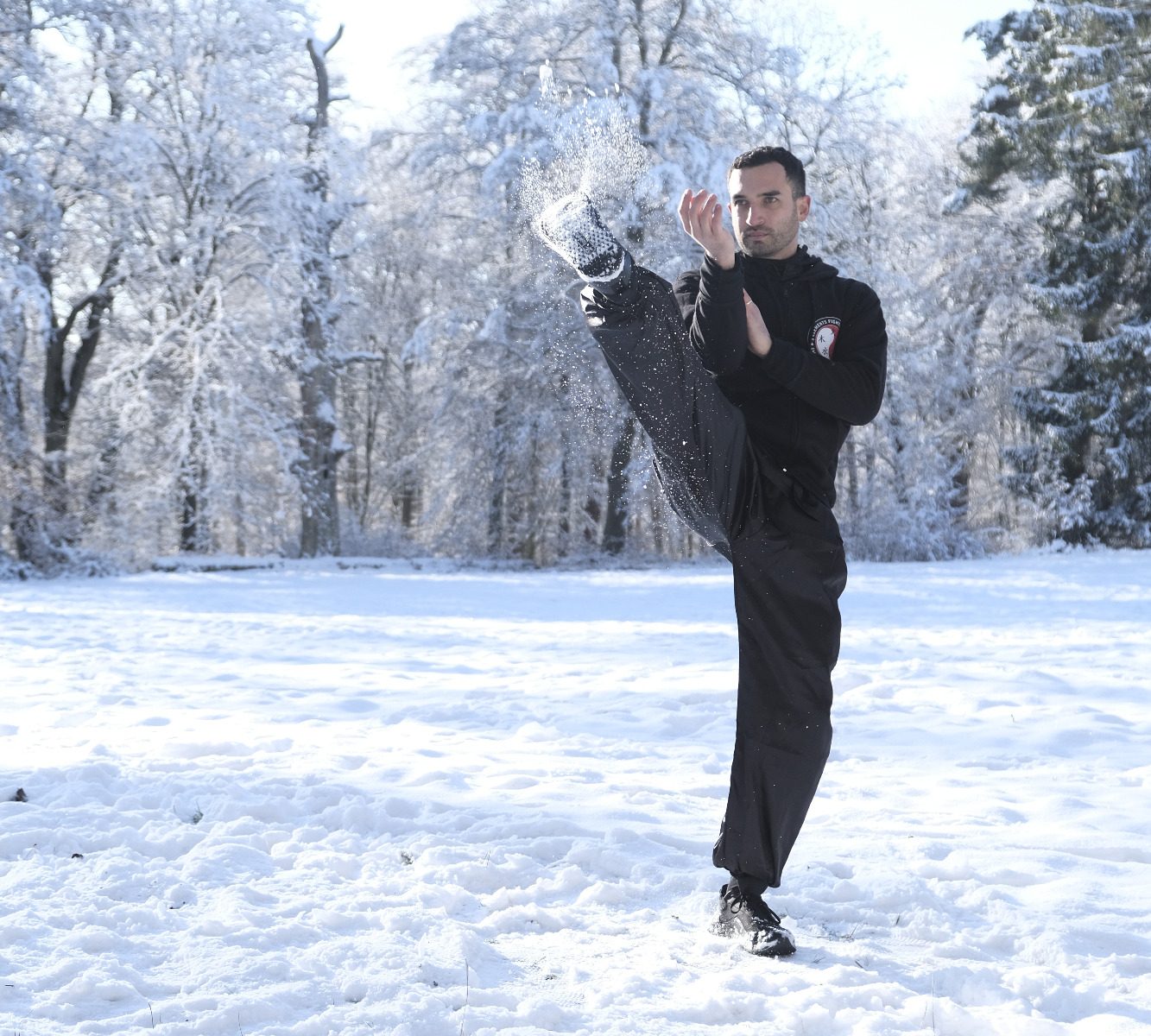 Auf diesem Bild Zeigt der Lehrer der Schule eine Ving Tsun / Wing Tsun Tritt-Technik